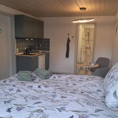 Bed & Breakfast Naturskont Naer Vikingecenter, Se Og Oplev Den Gamle By *