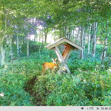 Naturskont Naer Vikingecenter, Se Og Oplev Den Gamle By Ribe