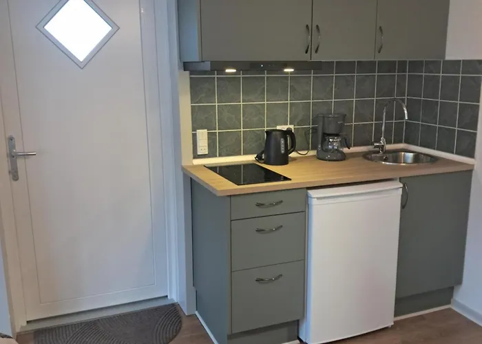 Naturskont Naer Vikingecenter, Se Og Oplev Den Gamle By * Ribe